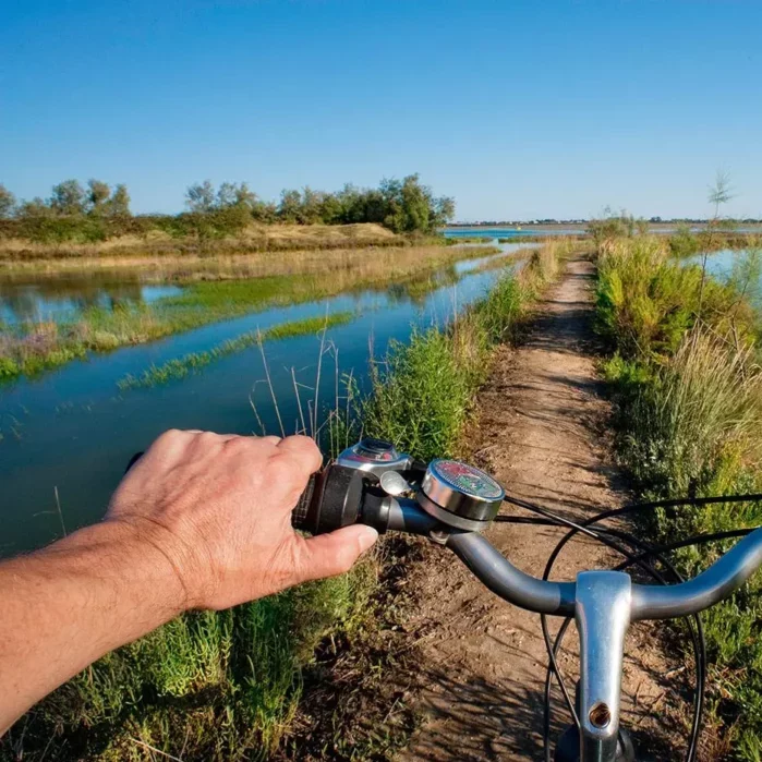 Exploring the Lagoon: Jesolo Ambient Bike